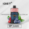 Iget One 12000 Puffs Blueberry Raspberry